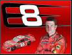 NASCAR Dale Jr Pinball Machine Logo From BMI Gaming: 1-800-PINBALL