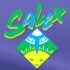 SALEX Expo - South American Leisure Exhibition