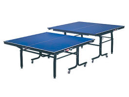 DHS Rising Star T2125 Ping Pong Table Tennis By DHS America From BMI Gaming