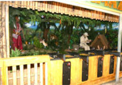 Amazon Jungle Carnival Arcade Shooting Gallery From Pan Amusements