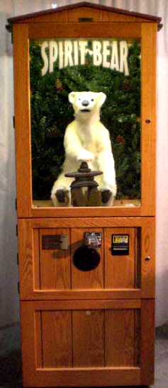 Spirit Bear Fortune Teller Macihine