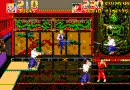 Double Dragon 3 The Rosetta Stone Video Arcade Game Screenshot 