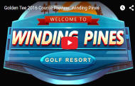 Winding Pines Golf Course Video - Golden Tee Golf 2016