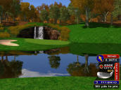 Woodland Farms Course | Golden Tee Golf 2009 Unplugged 